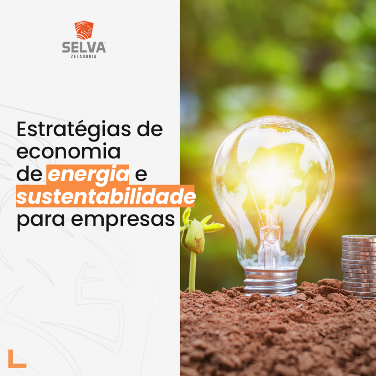 Estratégias de economia de energia e sustentabilidade para empresas